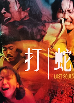 打蛇LostSouls1980BD1080PX264AAC国粤双语中字